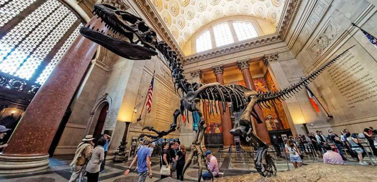 american-museum-of-natural-history-special-dinosaur-900x435