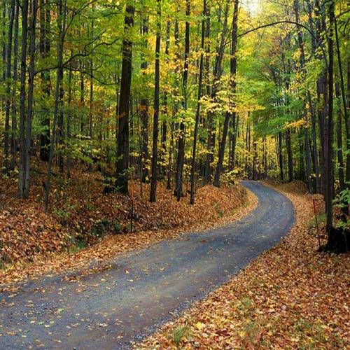 ϦPennsylvania