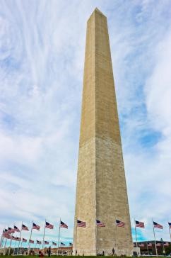 ʢ Washington 5 ʢټ