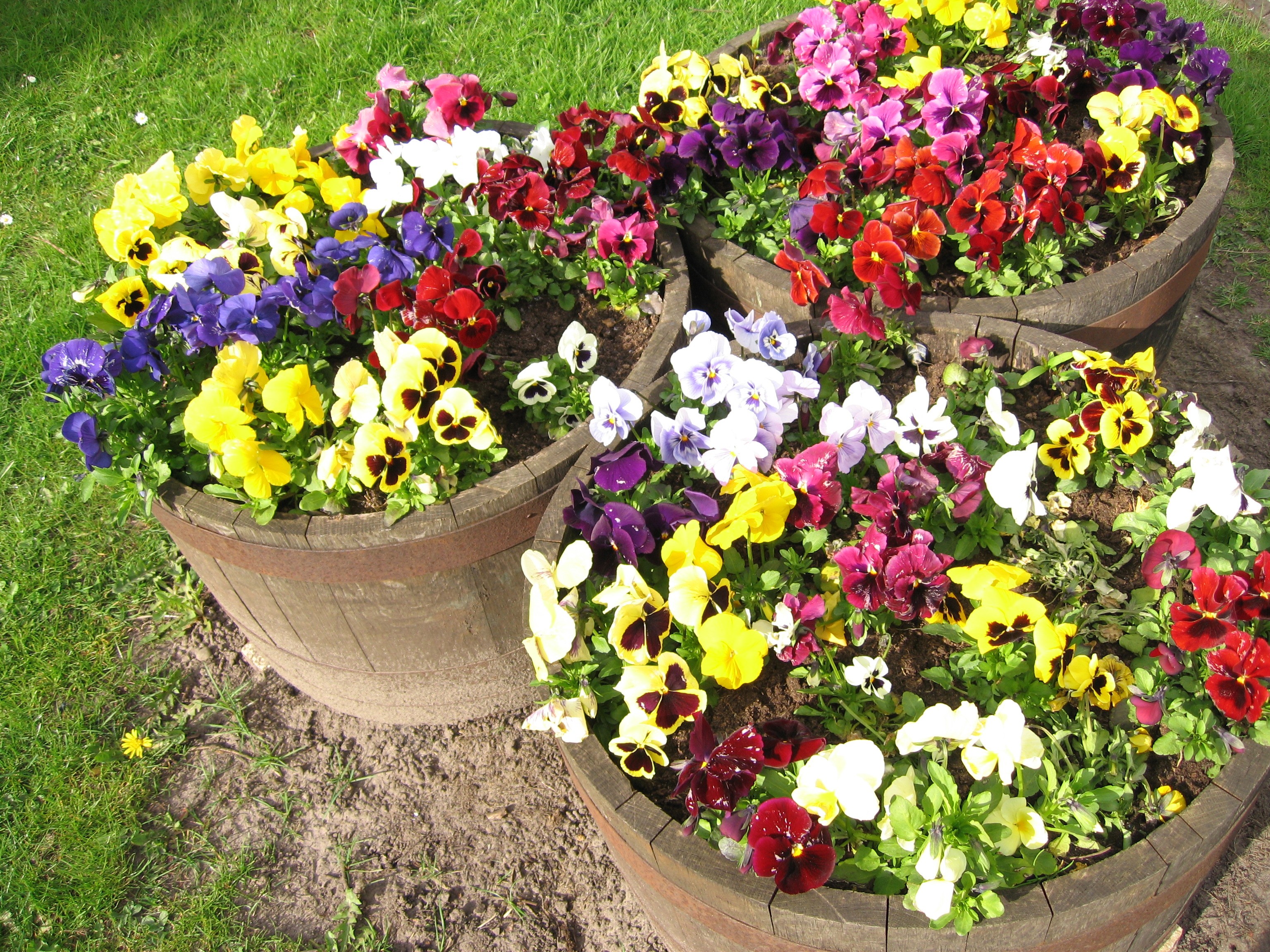 �׶�,������,�׶�����Ů����ѧ������Ѷ